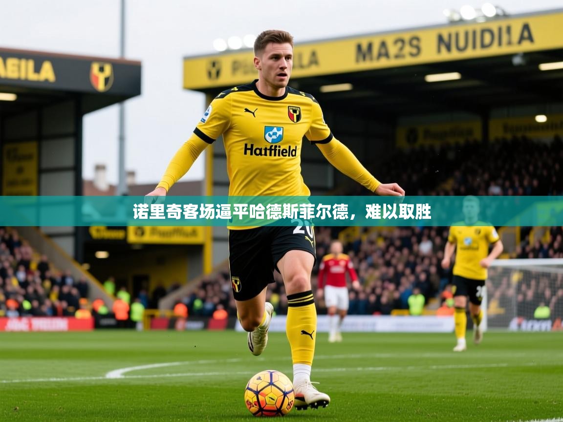 诺里奇客场逼平哈德斯菲尔德,难以取胜 诺里奇客场逼平哈德斯菲尔德,难以取胜