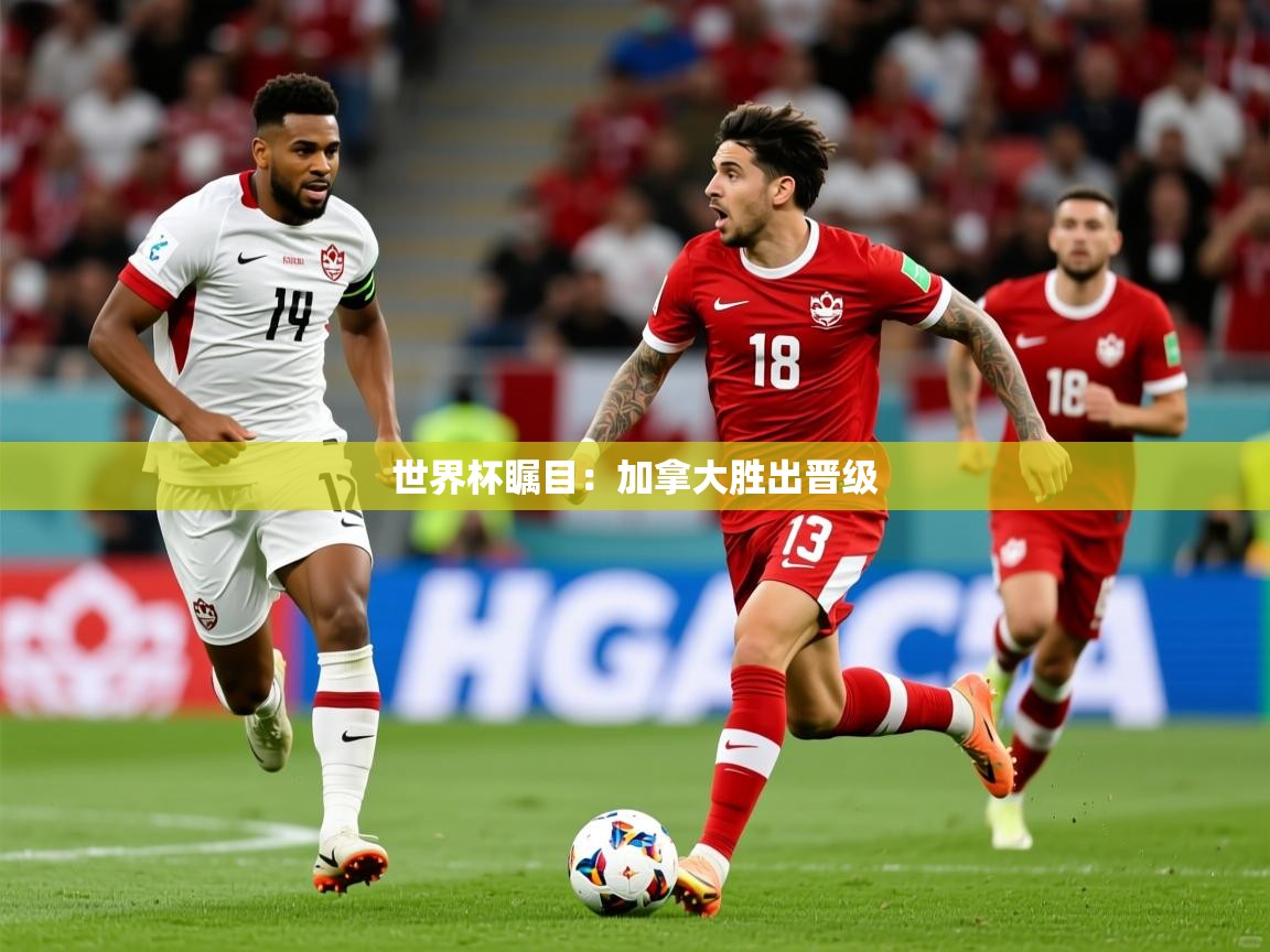 世界杯瞩目：加拿大胜出晋级