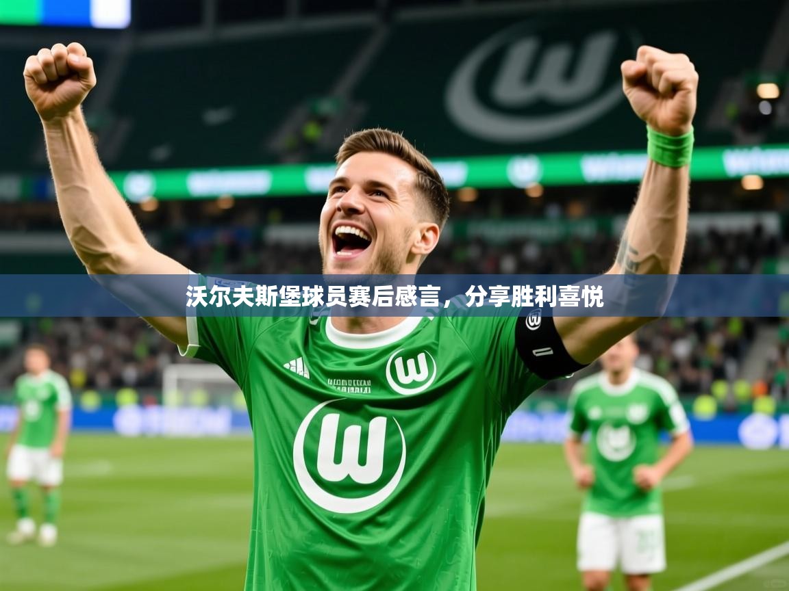 沃尔夫斯堡球员赛后感言，分享胜利喜悦